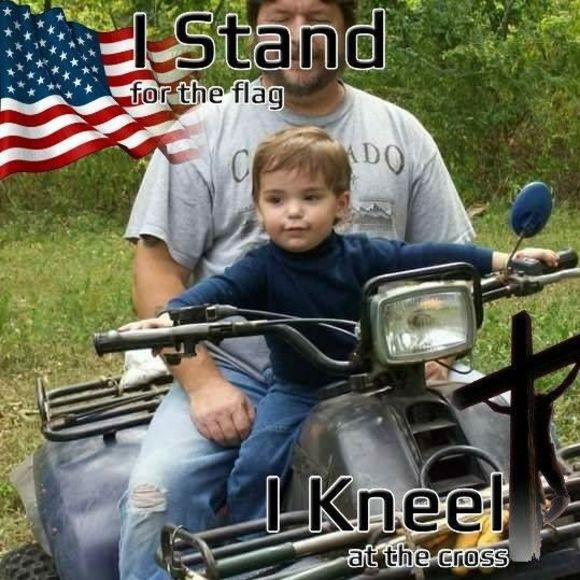 Meet your Posher, Rex - Picture 1 of 1